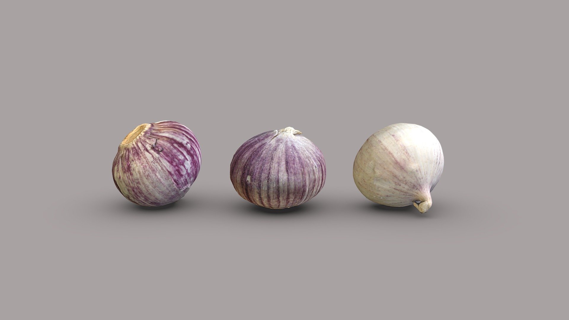 Three single clove garlics.

Model includes 8k diffuse map, 4k normal map, 4k ambient occlusion map and additional highpoly model from each garlic (100k)

Photos taken with A7Riv + Tamron 28-200mm

Processed with Metashape + Blender + Instant meshes - Solo garlics - Buy Royalty Free 3D model by Lassi Kaukonen (@thesidekick) 3d model