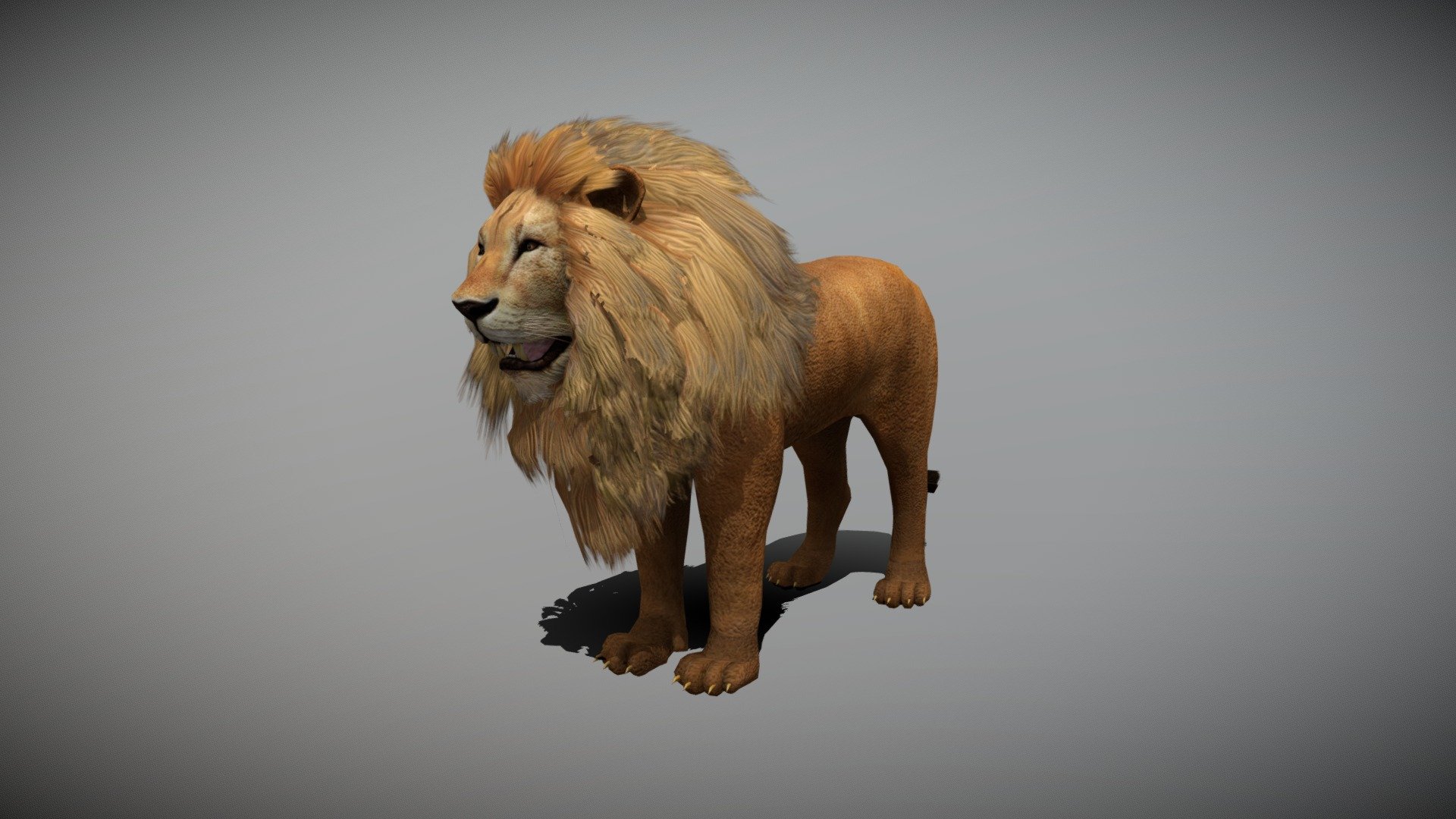 WATCH = https://youtu.be/P9Zxj4QPqeQ
3D Lion Realistic Character

PACKAGE INCLUDE

High quality model, correctly scaled for an accurate representation of the original object
High Detailed Photorealistic Lion, completely UVmapped and smoothable
Model is built to real-world scale.
Many different format like blender, fbx, obj, iclone, dae
Separate Loopable Animations
Ready for animation
High Quality materials and textures
Triangles = 5180
Vertices = 3192
Edges = 8257
Faces = 5180

ANIMATIONS

Idle
Walk
Walk Fast
Run
Attack Jump
Attacking
Eat
Howl
+Many different 3d Print Poses

NOTE

GIVE CREDIT BILAL CREATION PRODUCTION
SUBSCRIBE YOUTUBE CHANNEL = https://www.youtube.com/BilalCreation/playlists
FOLLOW OUR STORE = https://sketchfab.com/bilalcreation/models
LIKE AND GIVE FEEDBACK ON THE MODEL

CONTACT US                 =  https://sites.google.com/view/bilalcreation/contact-us
ORDER  DONATION   =  https://sites.google.com/view/bilalcreation/order - Lion with Animation - Buy Royalty Free 3D model by Bilal Creation Production (@bilalcreation) 3d model