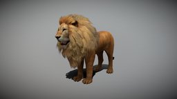 Lion with Animation africa, kitty, wild, mammal, claw, tooth, lion, sabre, nature, lions, lionking, lion-king, mamal, animal-lion, big-cat, lion-head, 3d, animal