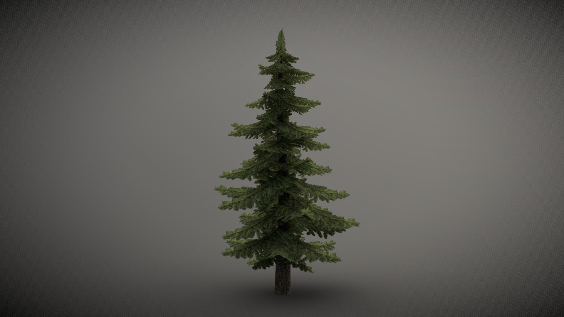 Spruce Tree


3D model of spruce, category Mid Poly. This model is perfectly suitable for use in computer games designed for medium-power personal computers. Contains 6 levels of detail (LOD):



LOD_0:




Vertices: 1517

Faces: 1560

LOD_1:




Vertices: 841

Faces: 840

LOD_2:




Vertices: 641

Faces: 312

LOD_3:




Vertices: 439

Faces: 170

LOD_4:




Vertices: 311

Faces: 106

LOD_5 (Billboard):

The billboard texture contains 8 renderings of spruce made from different angles.




Vertices: 4

Faces: 1
 - Spruce Tree | Mid Poly | With LODs - 3D model by S Λ N D R I K (@S7NDRIK) 3d model