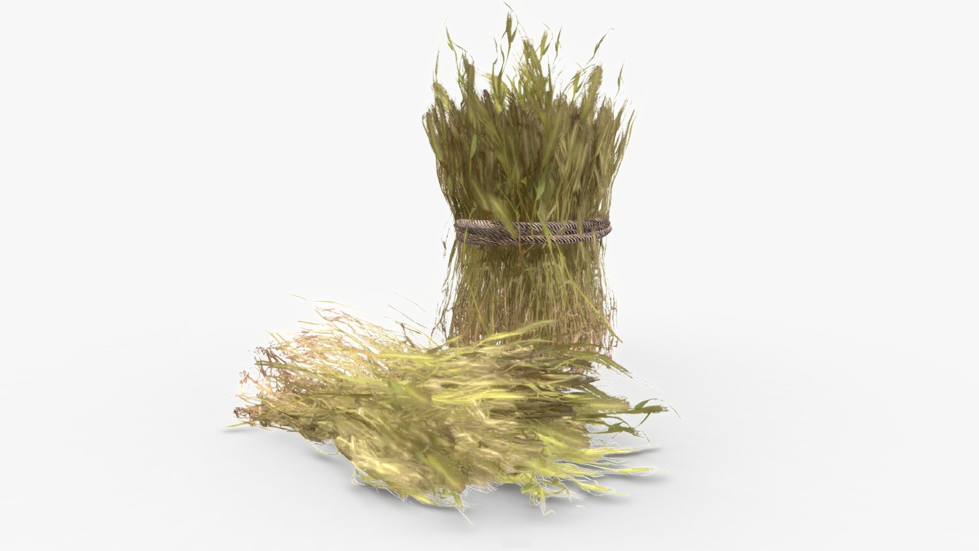 Check out my website for more products and better deals! &gt;&gt; SM5 by Heledahn &lt;&lt;


This is a digital 3d model of an pile of harvested barley and a roll. The roll is tied with a rough handmade rope, and it has a shape key to control the amount of messiness.

(4K TEXTURES, TIF TEXTURES, AND SHAPE KEYS ONLY FOR SALE IN MY WEBSITE 🔼)

This model can be used for any Medieval/Fantasy themed render project, used either as a background prop, or as a closeup prop due to its high detail and visual quality.

This product will achieve realistic results in your rendering projects and animations, being greatly suited for close-ups due to their high quality topology and PBR shading 3d model
