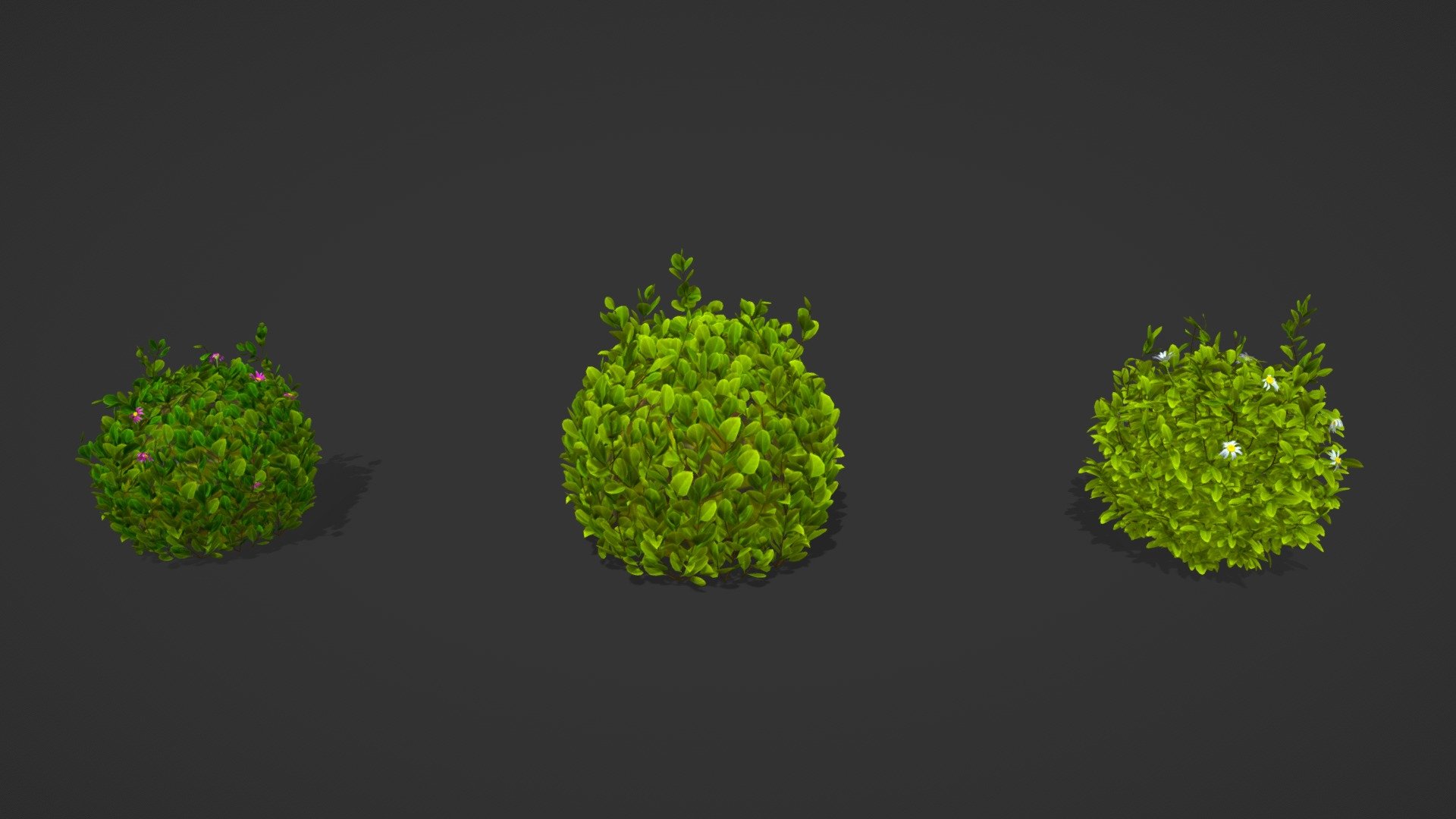 plant - Buy Royalty Free 3D model by ostrich (@gohean33) 3d model
