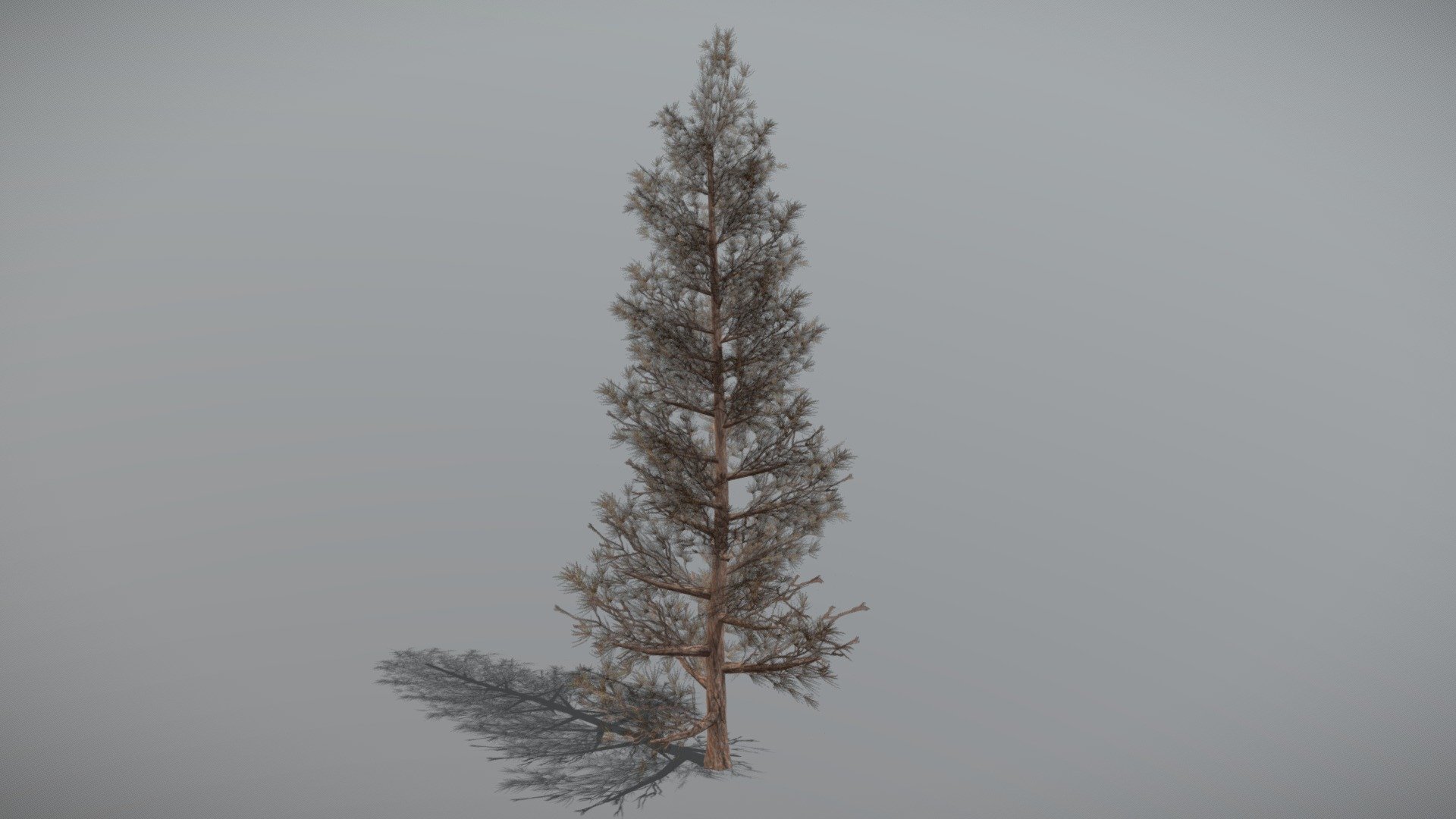Animated Pine tree + FBX LOD Model

• LOD0 = 1,273 Tris

• LOD1 = 654 Tris

• LOD2 = 498 Tris
 - Pine 5 (Animated Tree) - Buy Royalty Free 3D model by bsp 3d model
