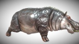 Hippopotamus hunting, hunt, animations3d, lowpolymodel, gamereadymodel, rigged-character, gameready-lowpoly, animated-rigged, gameasset, animated, game_charecter