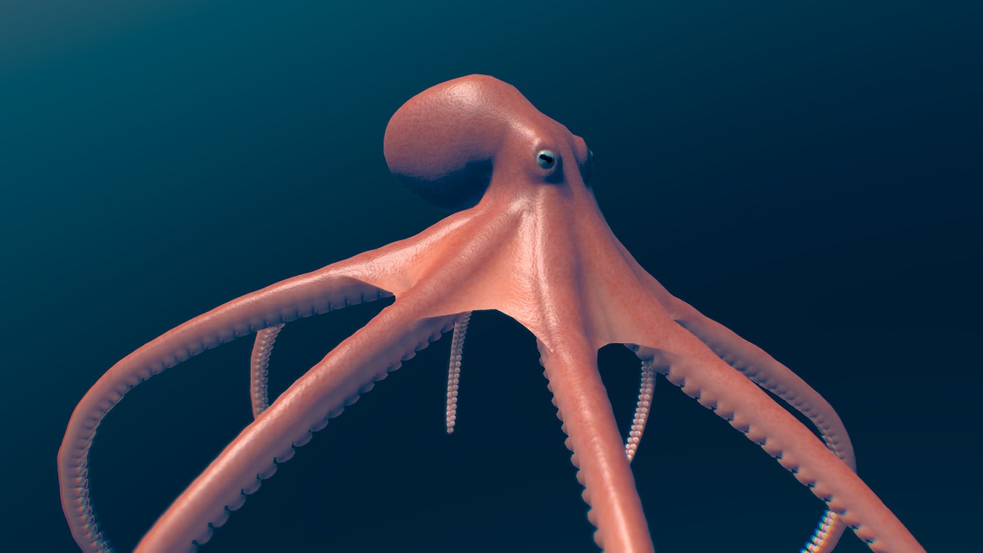 🐙




1 Idle cycle 

2 Swimming cycle 

3 transitions

This model is also part of this pack (discount on all my aquatic animals)

For Cinema 4D Users, please dowload the fbx file available on the dowload file tab (additional file)

Update 1 (22/11/2023): added Additional fbx file for C4D user, fixed the armature issue on tentacles once imported inside C4D

Made with Blender and subtance painter



If you have any questions, contact me here:

zacxophone3d@gmail.com


 - Animated octopus - Buy Royalty Free 3D model by Zacxophone 3d model