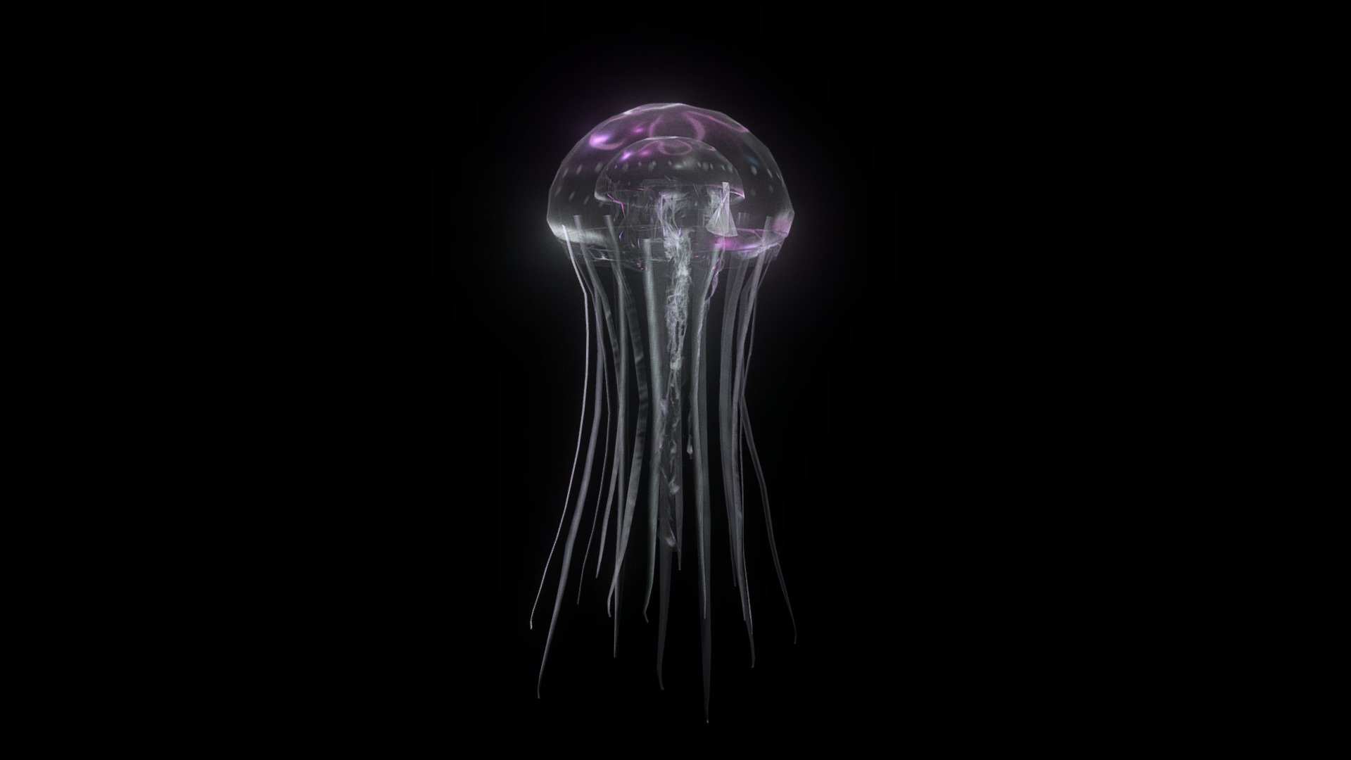 Transparent glowing jellyfish - Jellyfish - 3D model by z.li 3d model