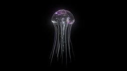 Jellyfish deepsea, jellyfish, ligting
