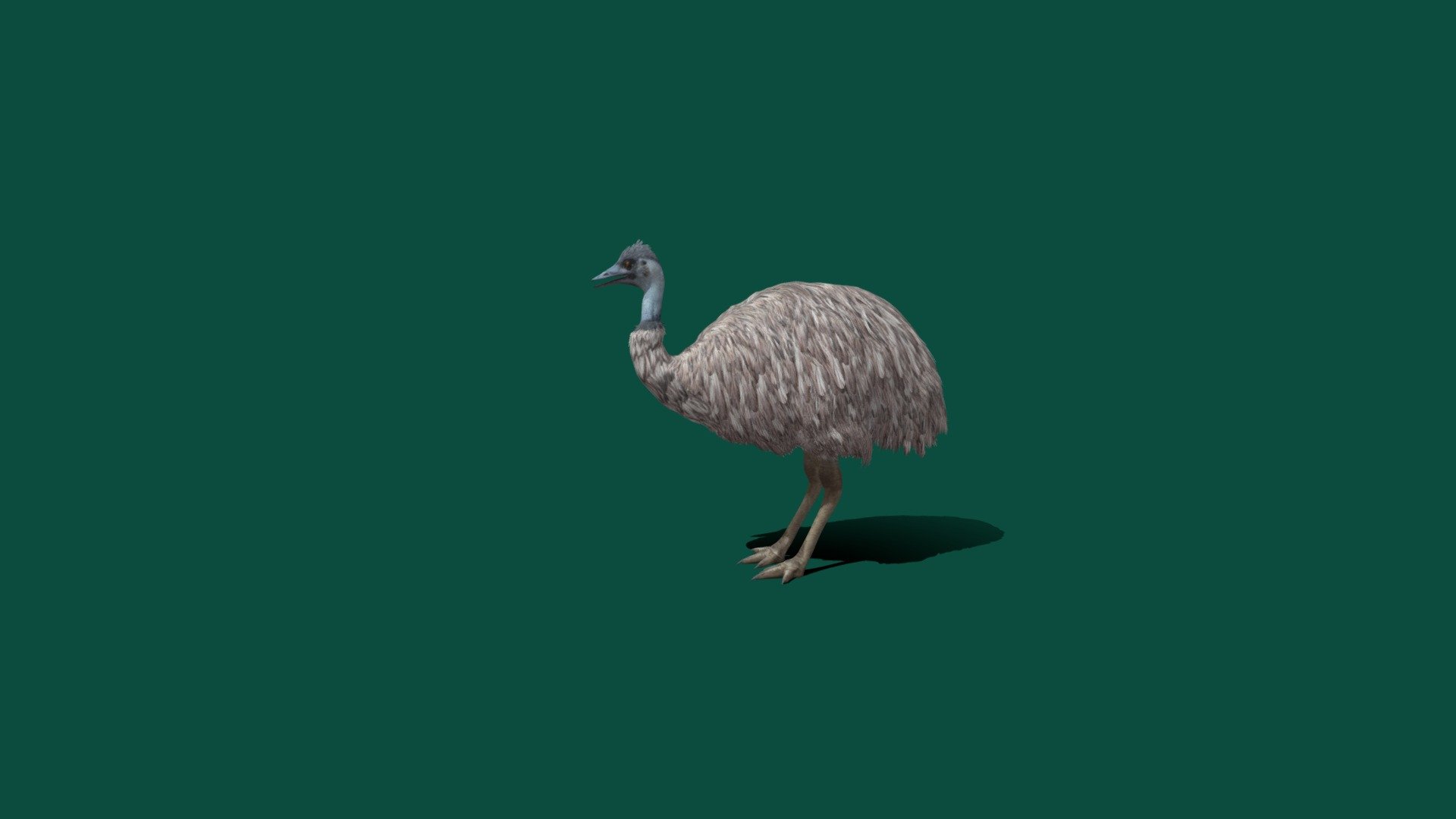 Game_ready_passed - Emu_Passed - 3D model by Nyilonelycompany 3d model