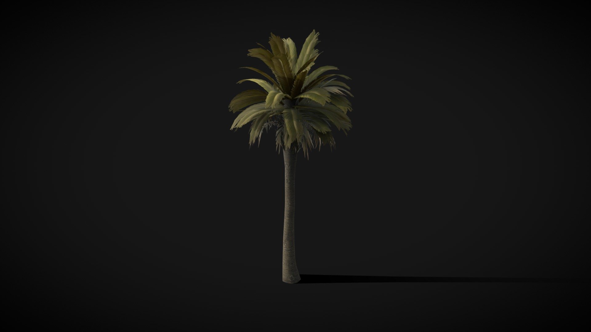 A Low poly palm tree. Perfect for populating your scenes with foliage. The palm Fronds are scanned from real plants. Plant a tree in your digital scene today and Enjoy! - Palm Tree 3D model - SF City Props & vegetation - Buy Royalty Free 3D model by artbytav 3d model