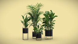 Indoor Plants Pack 69