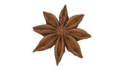 Star Anise #2 food, fruit, baking, photorealistic, seed, dried, scanned, star, kitchen, spice, cooking, seeds, anise, asset, 3d, model