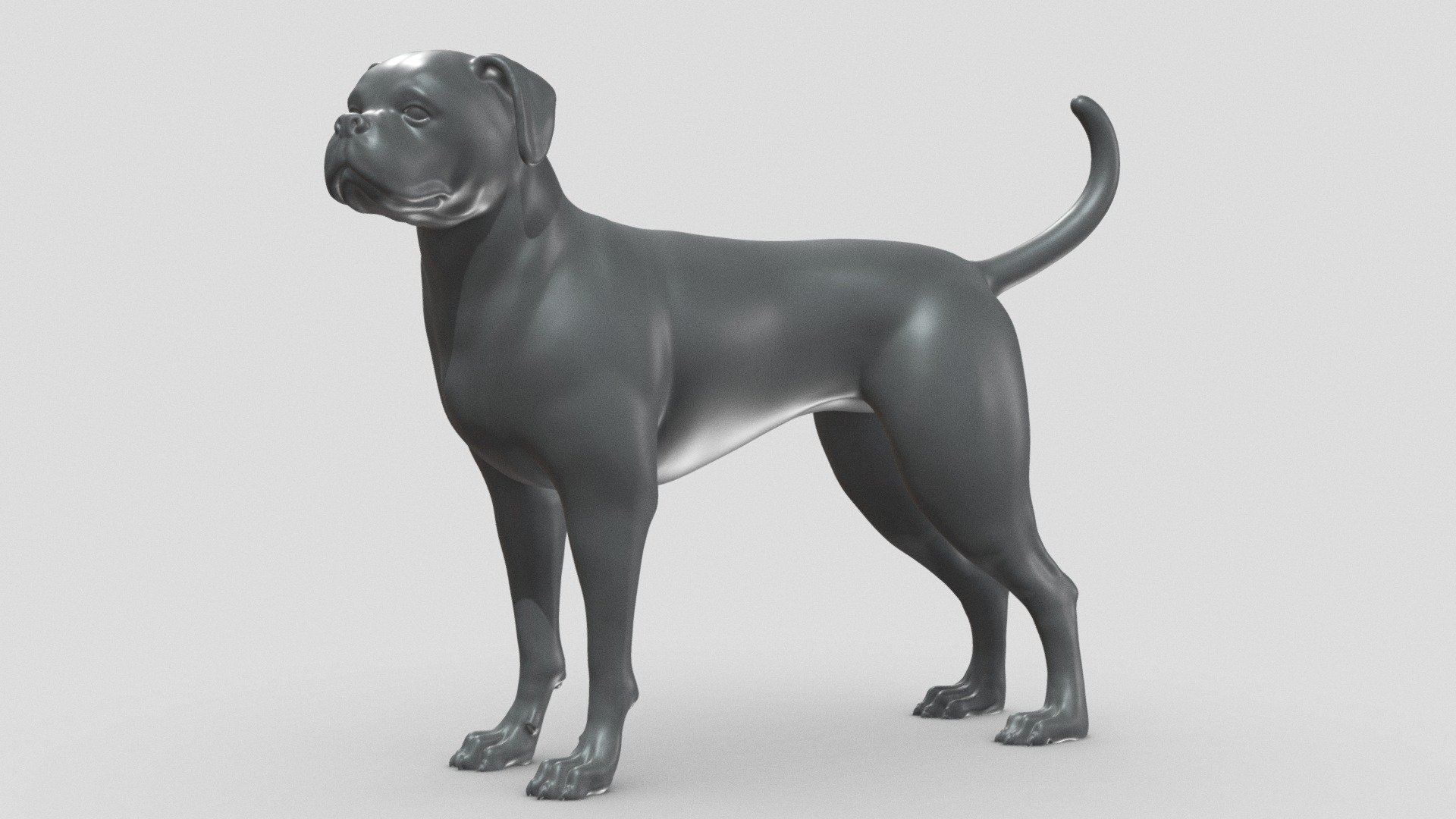 Preview shows decimated version. Extra files included .STL format.

STL file checked by Netfabb

Model height 100 mm, but you can change the size you like

It is suitable for decorating your room or desk, and of course you can give it to your loved ones

I hope you like it and thanks for the support! - Boxer Dog V1 3D print model - Buy Royalty Free 3D model by Peternak 3D (@peternak3d) 3d model