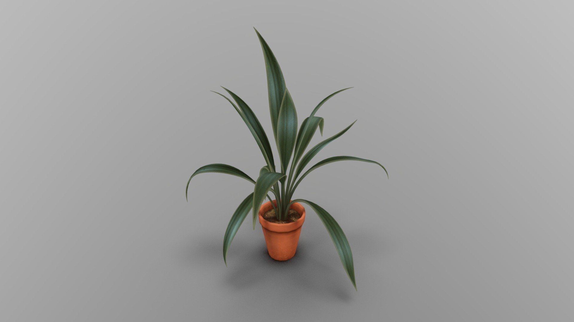 Tropical plant in terracotta pot - quite Low Poly - Tropical plant in terracotta pot - 3D model by LowPolygons 3d model