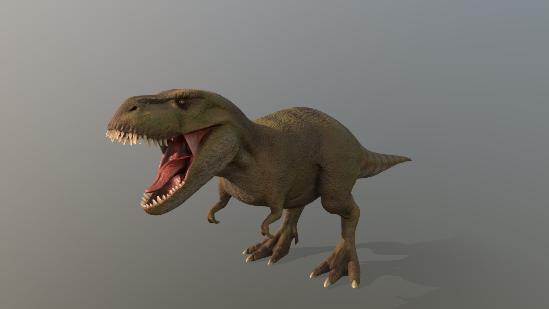 My interpretation of a Tyrannosaurus Rex. 

First full creature sculpt in a while, sculpted fully in zBrush starting with zSpheres to practice the full pipeline.

Sculpted the Primary and Secondary Shapes in zBrush before retopoed and UV'ed in Maya before returning to zBrush for projection and further sculpting into the secondary and tertiary shapes. 

Textures painted in Substance Painter.

Full breakdown on my Artstation.
https://www.artstation.com/artwork/28ORRv - Tyrannosaurus Rex - 3D model by jdbensonCG (@bjohndavid21) 3d model