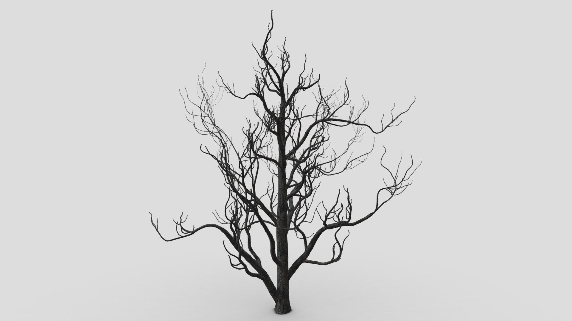 I Try to provide this kind of tree to use in your game and other project. I hope it will be useful for you 3d model
