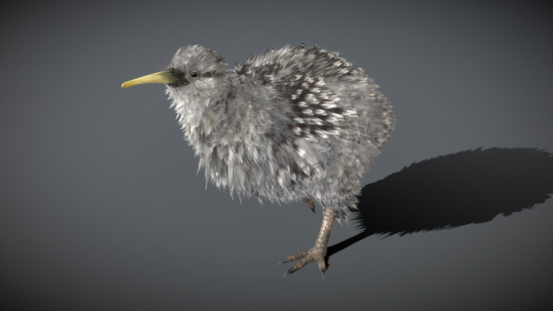 Before purchasing this model, you can download Guppy and try to import it.
Because for different software, rigging and animation may have different problems.

13/5/2021 : add an animation “sit” - Little Spotted Kiwi - Buy Royalty Free 3D model by NestaEric 3d model