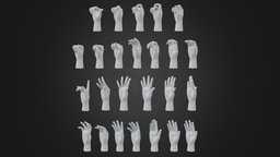 Hands 25 different poses