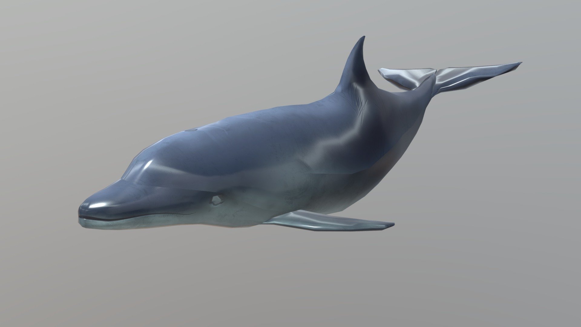 Game ready, VR ready dolphin model made in Oculus Medium, textured in Substance, and retopologized/animated in Maya. 1400 tris, animated to be swimming 3d model