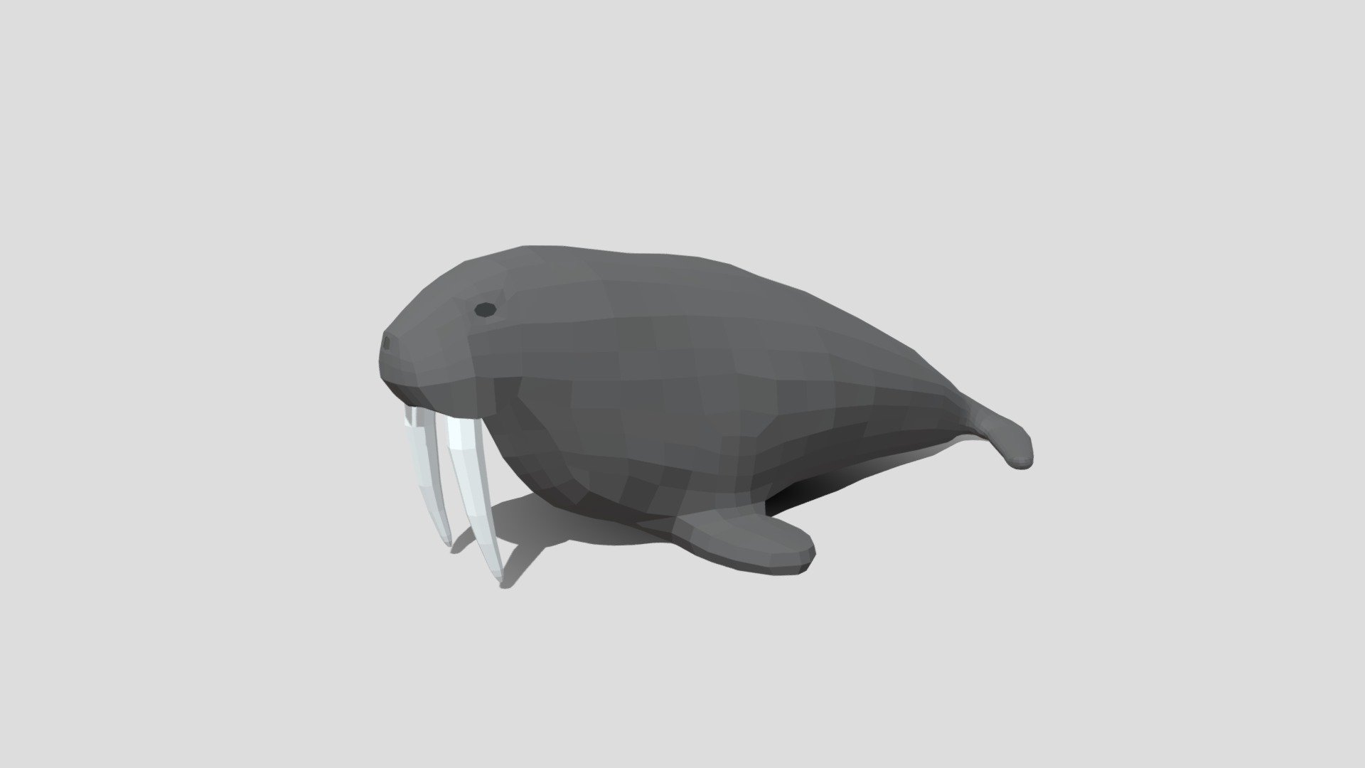 This is a low poly 3D model of a Walrus. The low poly Walrus was modeled and prepared for low-poly style renderings, background, general CG visualization presented as a mesh with quads only.

Verts : 1.290 Faces: 1.288

The 3D model have simple materials with diffuse colors.

No ring, maps and no UVW mapping is available.

The original file was created in blender. You will receive a 3DS, OBJ, FBX, blend, DAE, Stl.

All preview images were rendered with Blender Cycles. Product is ready to render out-of-the-box. Please note that the lights, cameras, and background is only included in the .blend file. The model is clean and alone in the other provided files, centred at origin and has real-world scale 3d model