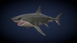 Low Poly Shark shark, ocean, substance-painter-2, maya, character, low-poly, animal, animation, free, rigged, sea