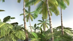 Tropical Vegetation tree, green, plant, tropical, palm, shrub, banana, fern, trunk, bush, leaves