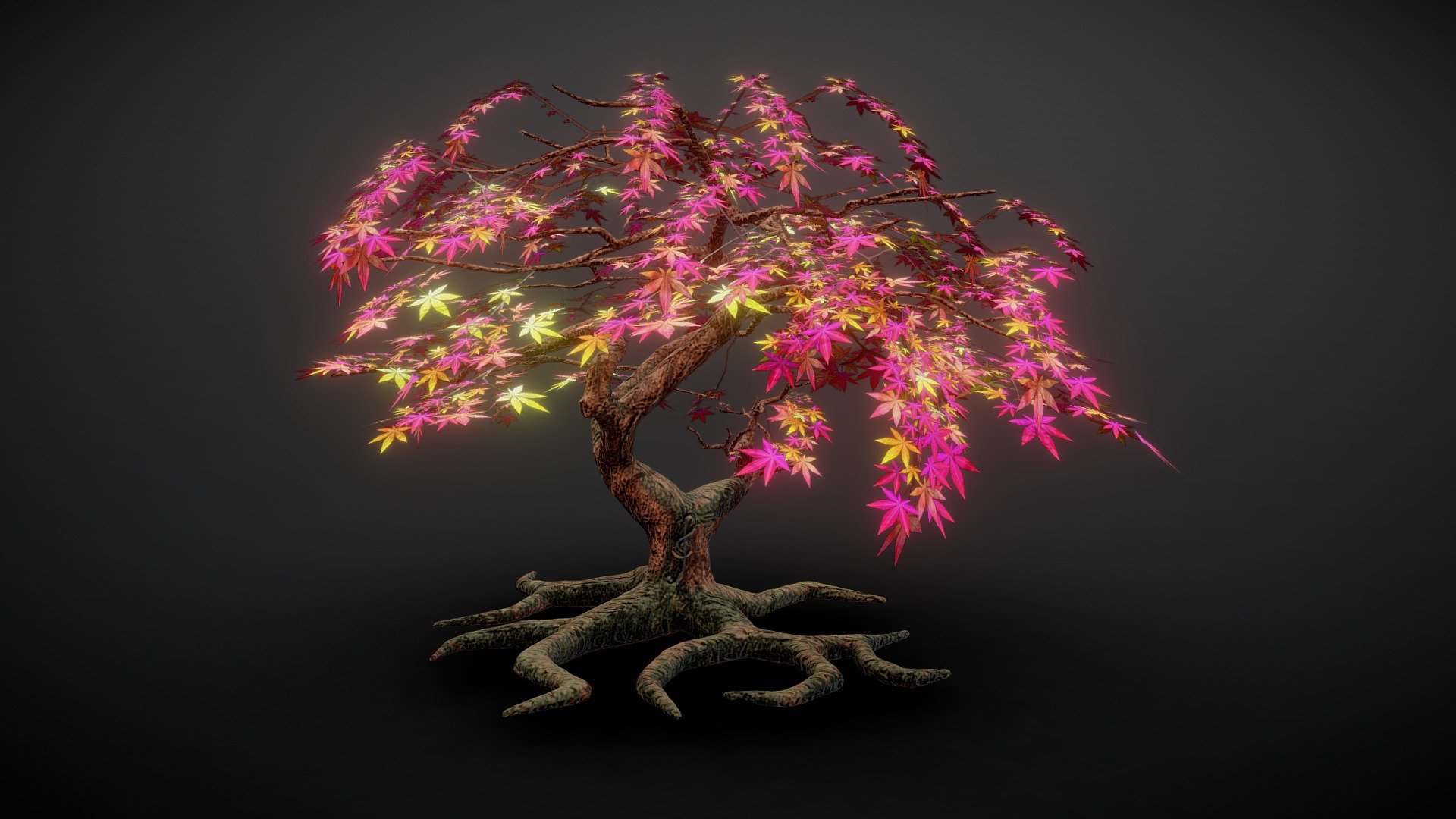 Japanese Maple Tree made for a garden game - Japanese Maple Tree - Download Free 3D model by OliverMatheGames 3d model