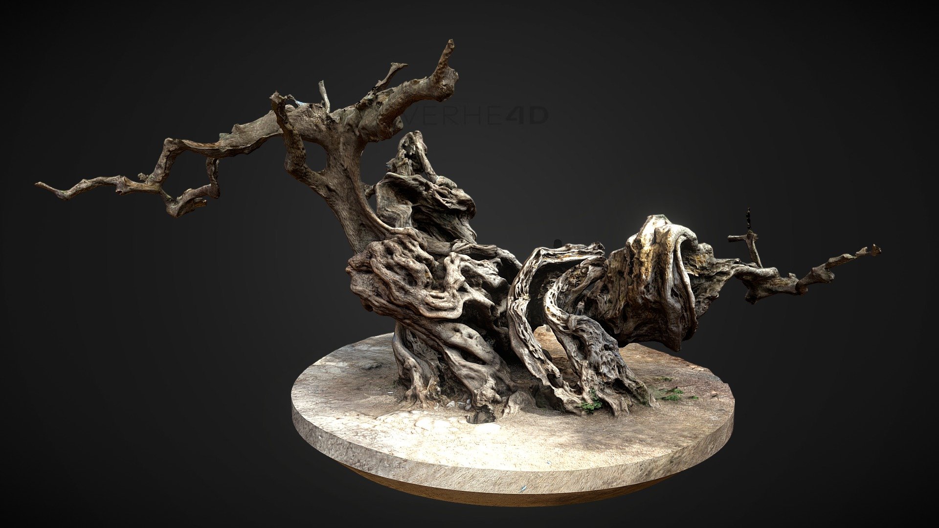 2500 years old olive tree. 
We took 1618 photos to get a detailed scan of it. 

The model of the tree is optimised (retopologisation, opacity and normal map, etc&hellip;)

Created in RealityCapture - Olive Tree | 2500 years old - Buy Royalty Free 3D model by Overhead4D (@OVERHEAD) 3d model