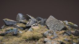 Moss covered rock pile