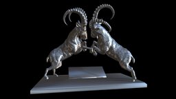 Capricorn battle goat, ibex, capricorn