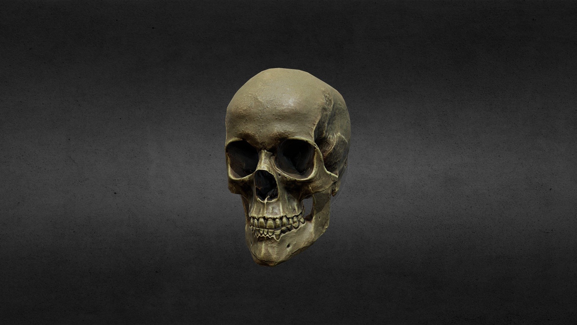 low poly skull - Skull - Download Free 3D model by DJMaesen (@bumstrum) 3d model