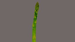 Asparagus vegetable, realitycapture, photogrammetry