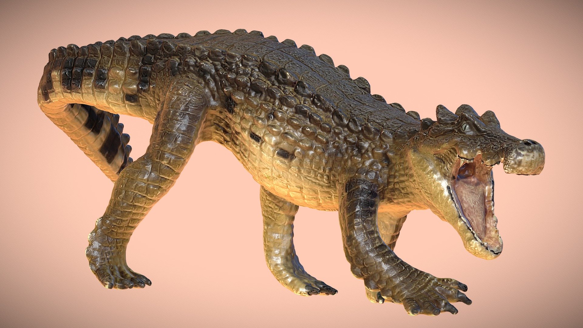 A solid model suitable for 3D printing.

&ldquo;Kaprosuchus is an extinct genus of mahajangasuchid crocodyliform. It is known from a single nearly complete skull collected from the Upper Cretaceous Echkar Formation of Niger. The name means &ldquo;boar crocodile