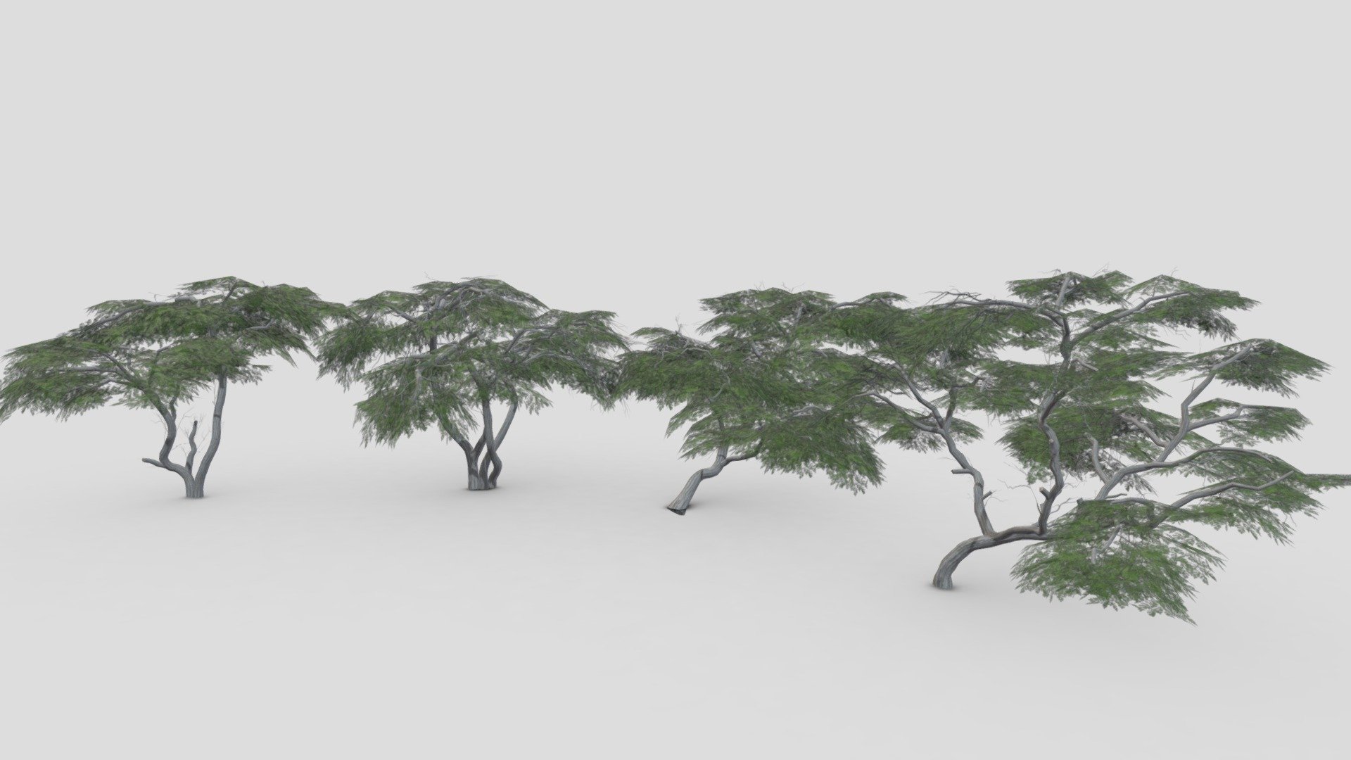 I tried to work on Acacia Tree 3D model. This is a 3D low poly pack of Acacia Tree. This 3D low poly collection contains 4 3D models of Acacia Tree 3d model