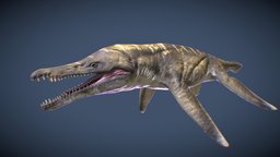 Liopleurodon (for animation)