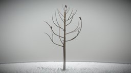 Small Pear Tree Winter 2 Meter tree, plant, pear, garden, small, nature, game-ready, seasons, small-tree, vis-all-3d, 3dhaupt, 4k-textures, software-service-john-gmbh, leave-tree, low-poly, wood, leaves