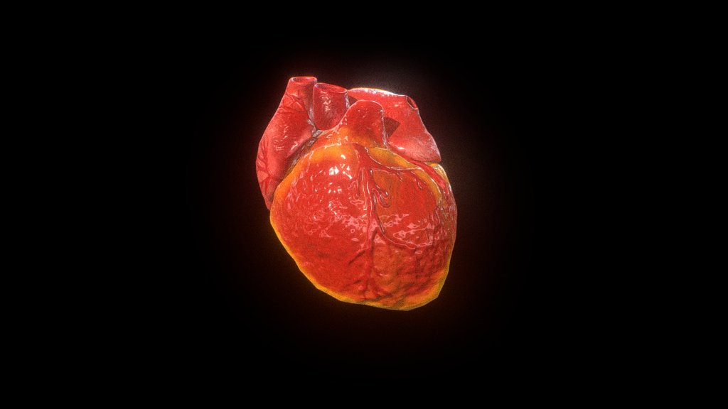 V2 - Closed Animated Heart V2 - Buy Royalty Free 3D model by Anatomy by Doctor Jana (@docjana) 3d model