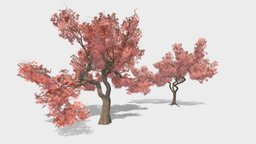 Japanese Maple tree 2 versions tree, maple, leaf, branch, trunk, background, root, lowpoly, sketchfab, leaves, download, japanese