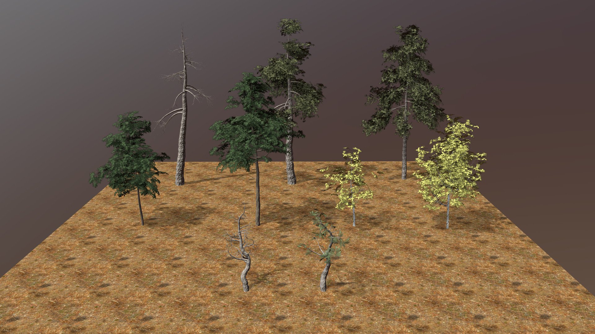 Four different tree species commonly found in the mountains (9 different tree models).

The types of trees found in this pack include:
* Ponderosa Pines
* Maple Trees
* Aspen Trees
* Junipers

Normal and roughness maps are included on the bark textures.

Please like if you download, it means a lot 3d model