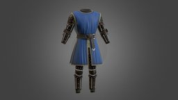 Leather Heraldry Armor 