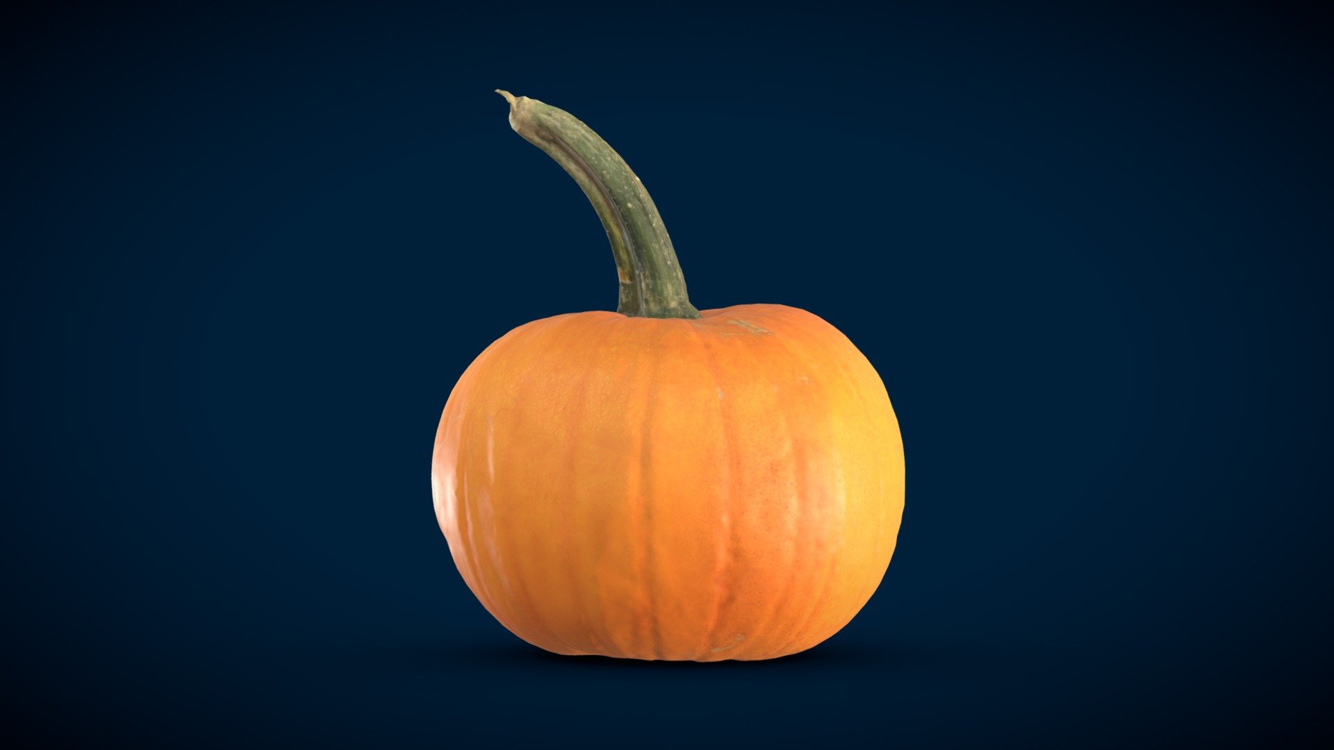 Just in time for Hallowe'en.

Made from 112 photos using RealityCapture.

Additional files include 1,000 face model (+colour, normal, ambient occlusion maps), and 500k version (colour map only.) - Pumpkin 🎃 - Buy Royalty Free 3D model by Thomas Flynn (@nebulousflynn) 3d model
