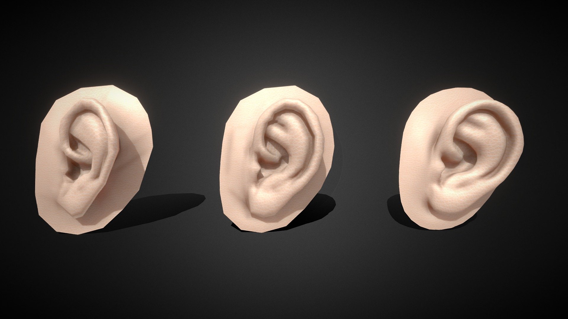 Ear Base mesh with LOD shapes for free download,
This Ear Base mesh with LOD shapes have 3 types of variation of meshes.

Uploaded Size 4.5M
Image formats jpg(7)
Download size- 7MB
Geometry
Triangles 7
Quads 2.9k
Total triangles 5.7k
Vertices
2.9k
PBR No 
Textures 4
Materials 1
UV Layers Yes
Vertex colors No
Animations 0
Rigged geometries No
Morph geometries 0
Scale transformations No - Ear Base mesh with LOD shapes - Buy Royalty Free 3D model by srikanthsamba 3d model