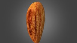 Almonds nuts, 3d-models, almonds, 3d, almonds-nut