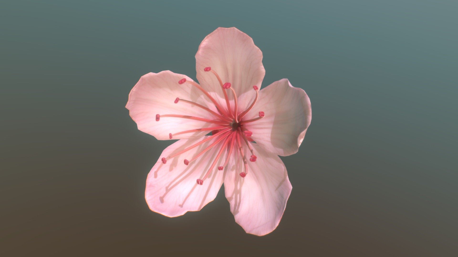 Step into the enchanting world of Sakura with this stunning 3D model of a Sakura flower. Immerse yourself in the delicate beauty of Japan's famous cherry blossoms, brought to life with intricate details and realistic textures - sakura - Buy Royalty Free 3D model by zawboo 3d model