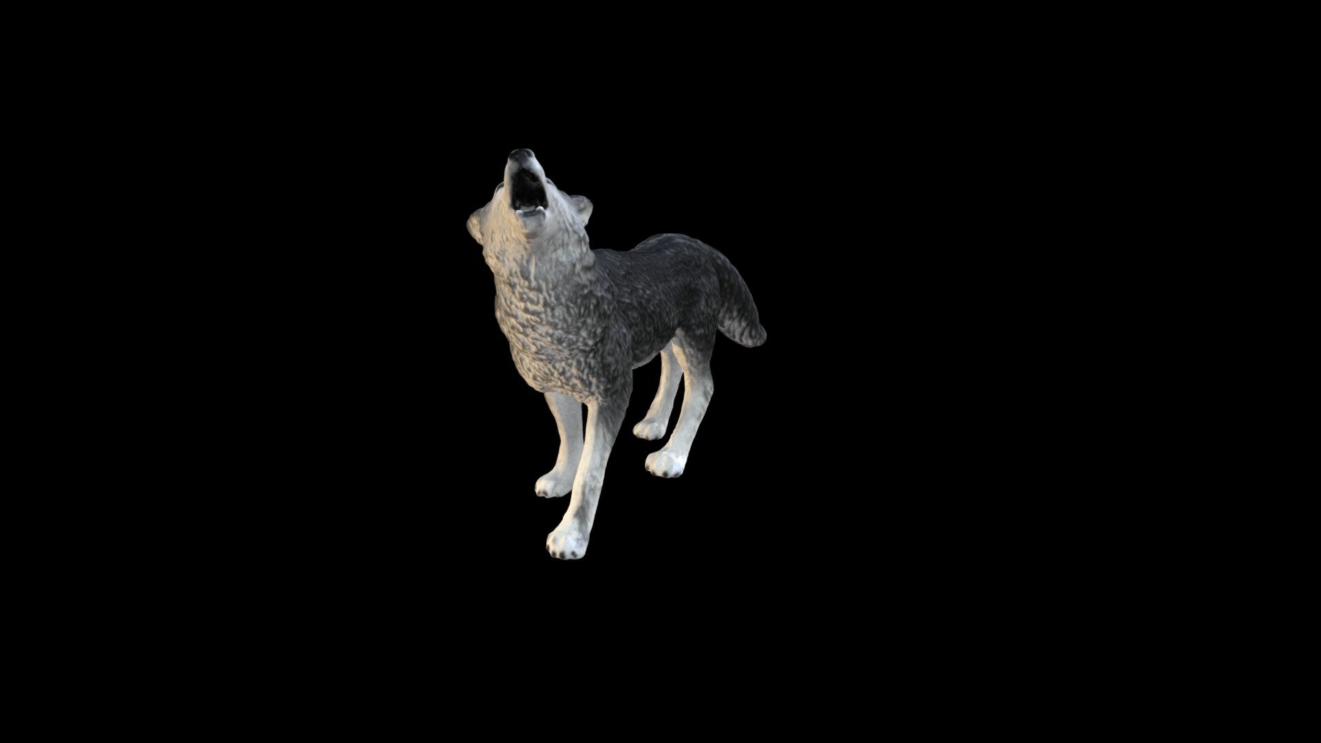 A 3D scan of a plastic wolf made using a Artec Space Spider handhelf 3D scanner and cleaned using Zbrush and Photoshop 3d model