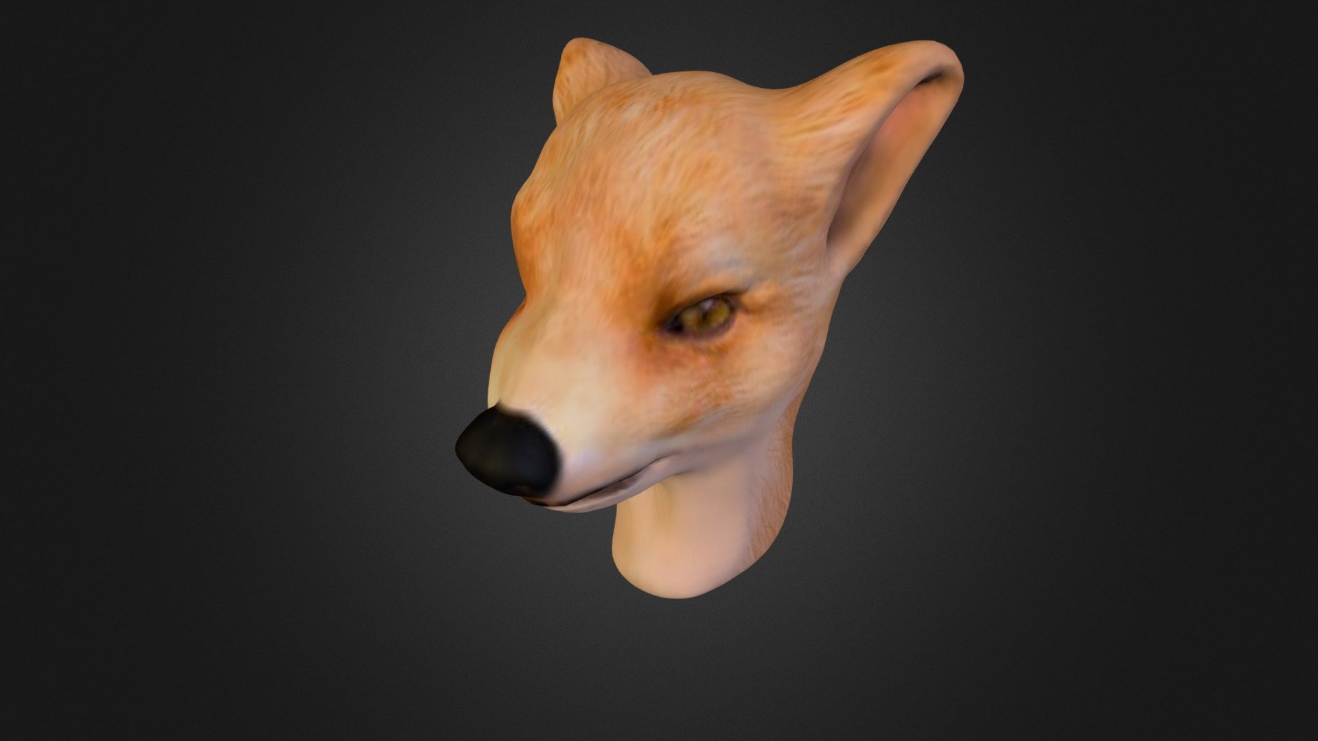 3rd try for the dog´s head
like it more, using photo for texturing - Dog Head Fox Test 003 - 3D model by Mario Vera (@maveca22) 3d model