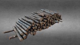 Tree logs object, tree, poland, forest, assets, logs, log, prop, ground, photogrametry, stack, treelog, woodstack, photoscan, photogrammetry, wood