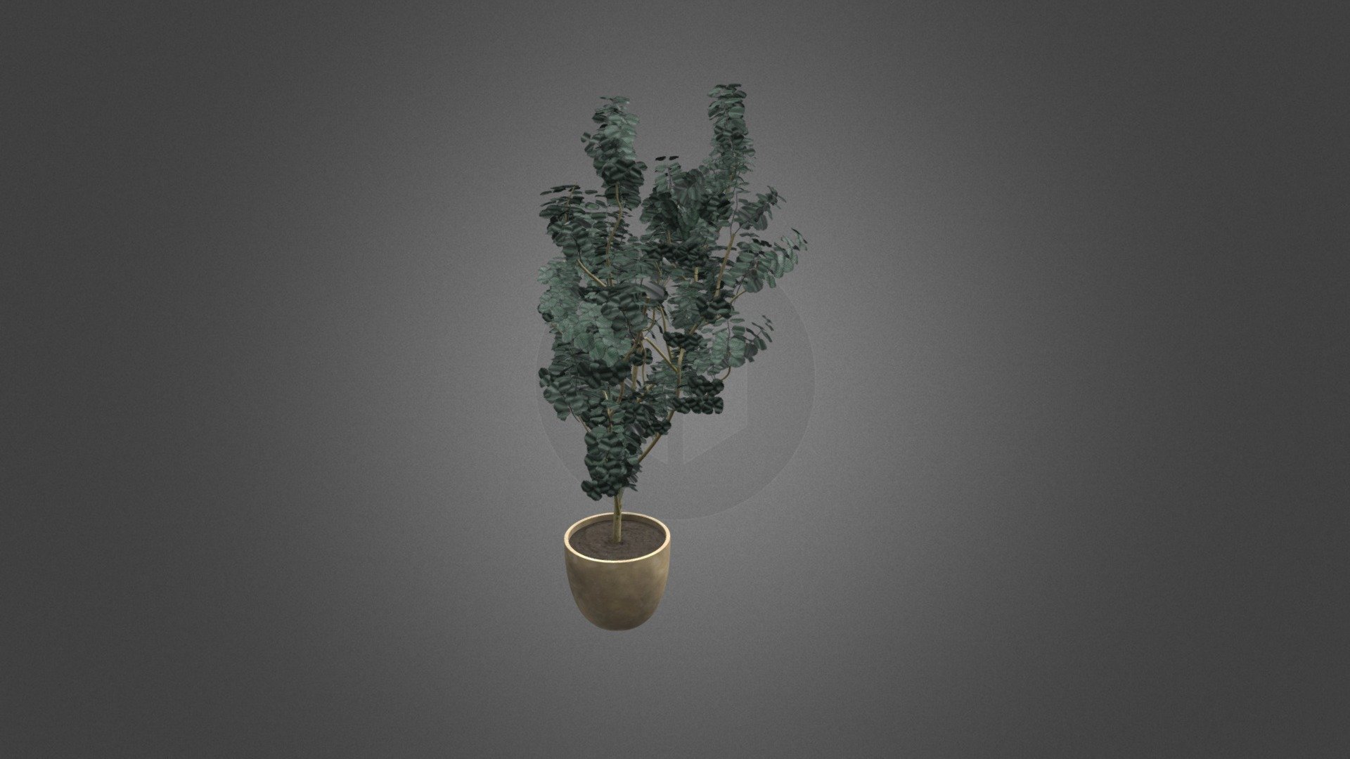 Tree modeled in 3ds Max and rendered with Vray - Eucalyptus Potted Tree - Buy Royalty Free 3D model by Mr. Adams (@UncleAcid82) 3d model