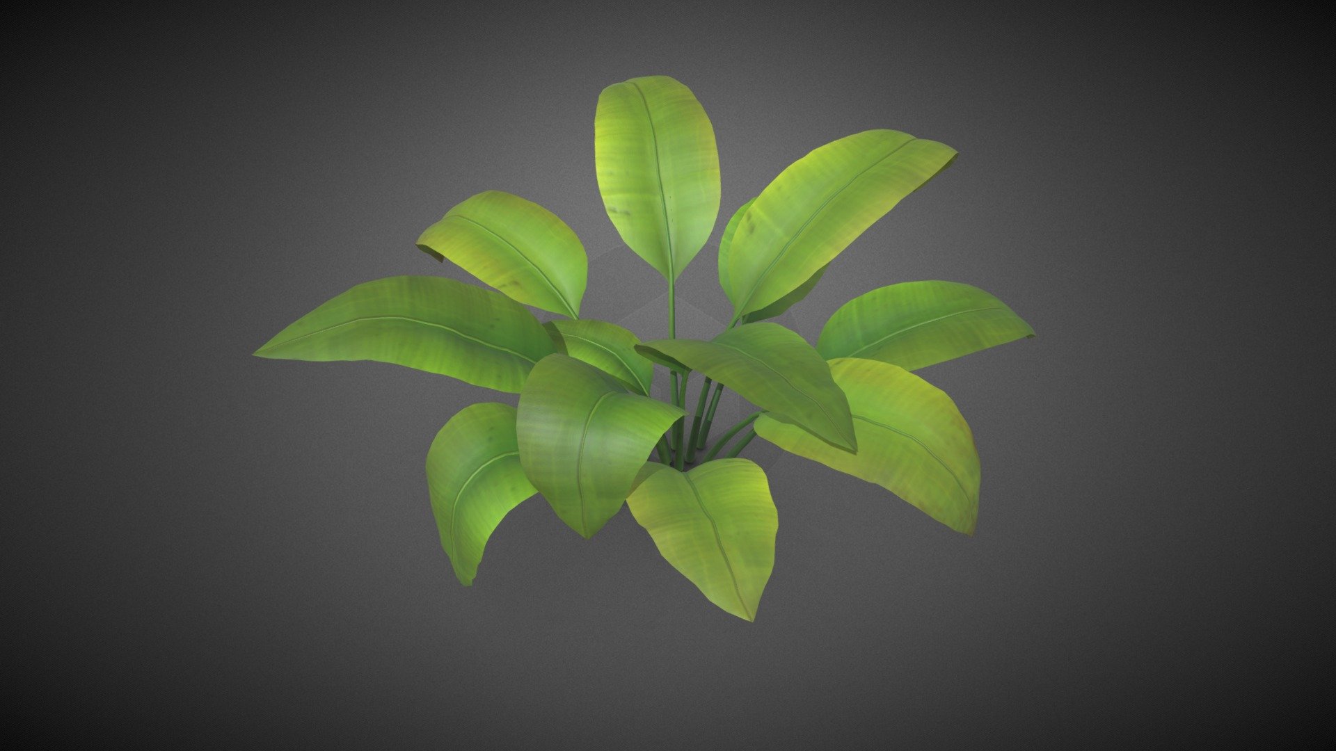 Ferns shrub - Ferns shrub flower - Buy Royalty Free 3D model by misitewang 3d model