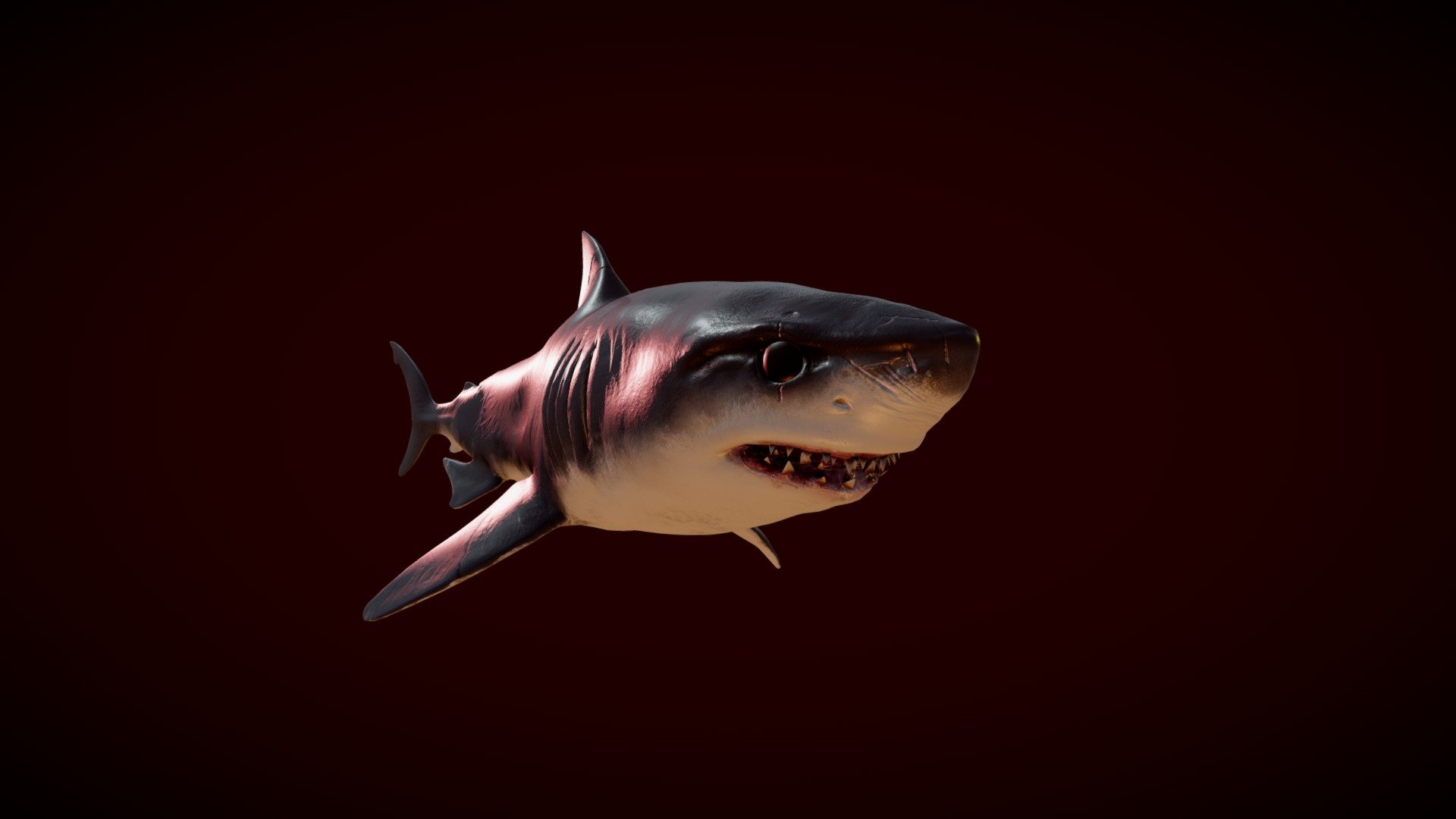 The greatest shark. Modelled in Blender and textured in adobe substance painter.If you would like to use this model for commercial purposes such as movies, videos, etc., credit must be given 3d model