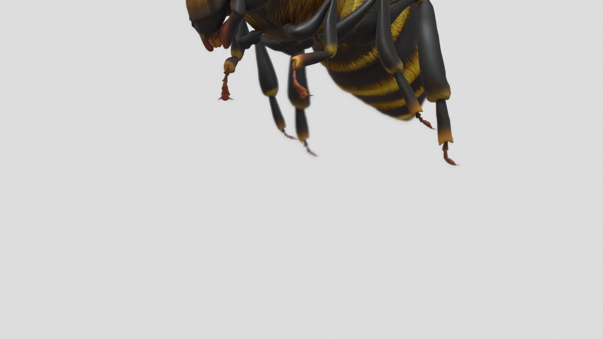 Free Flying Bee - Flying Bee - Download Free 3D model by fredbear1211 3d model